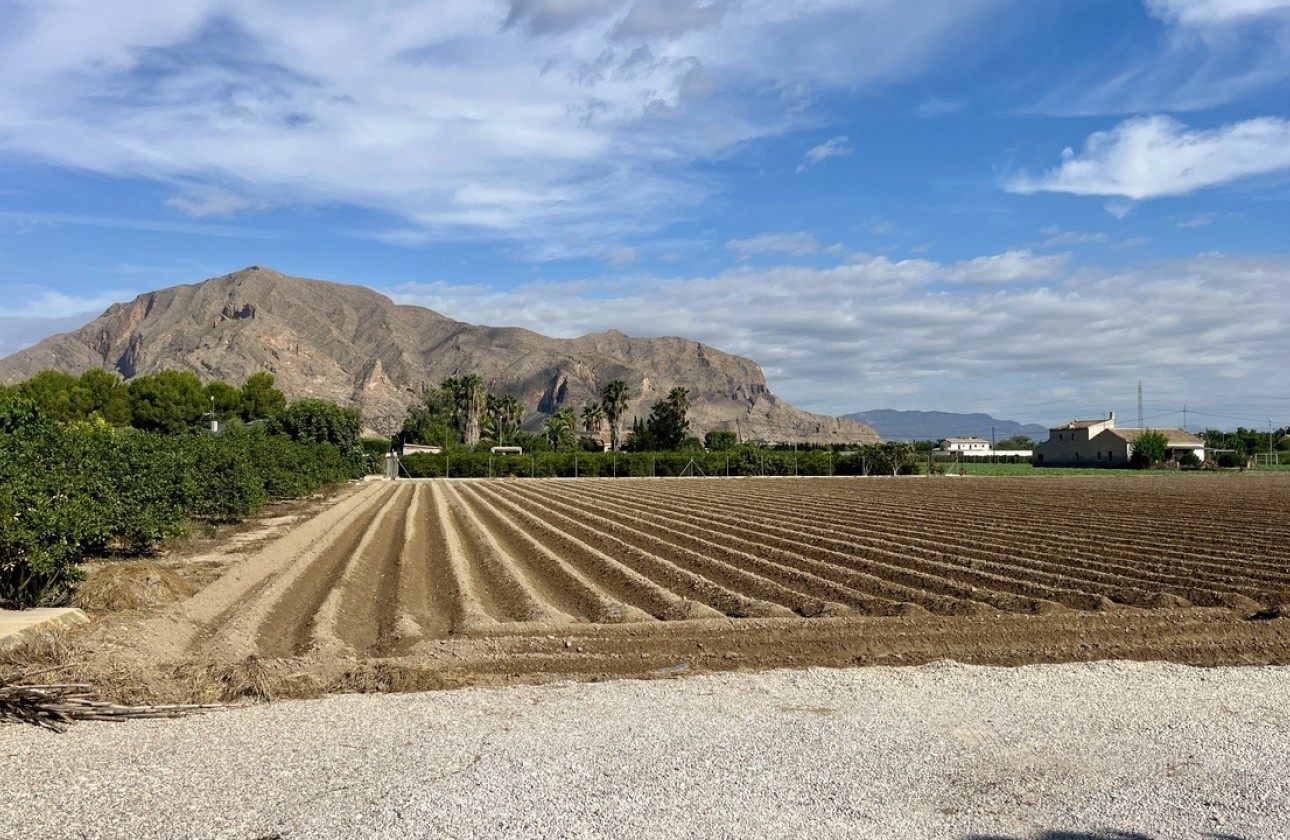 Resale - Freistehende Villa -
Orihuela