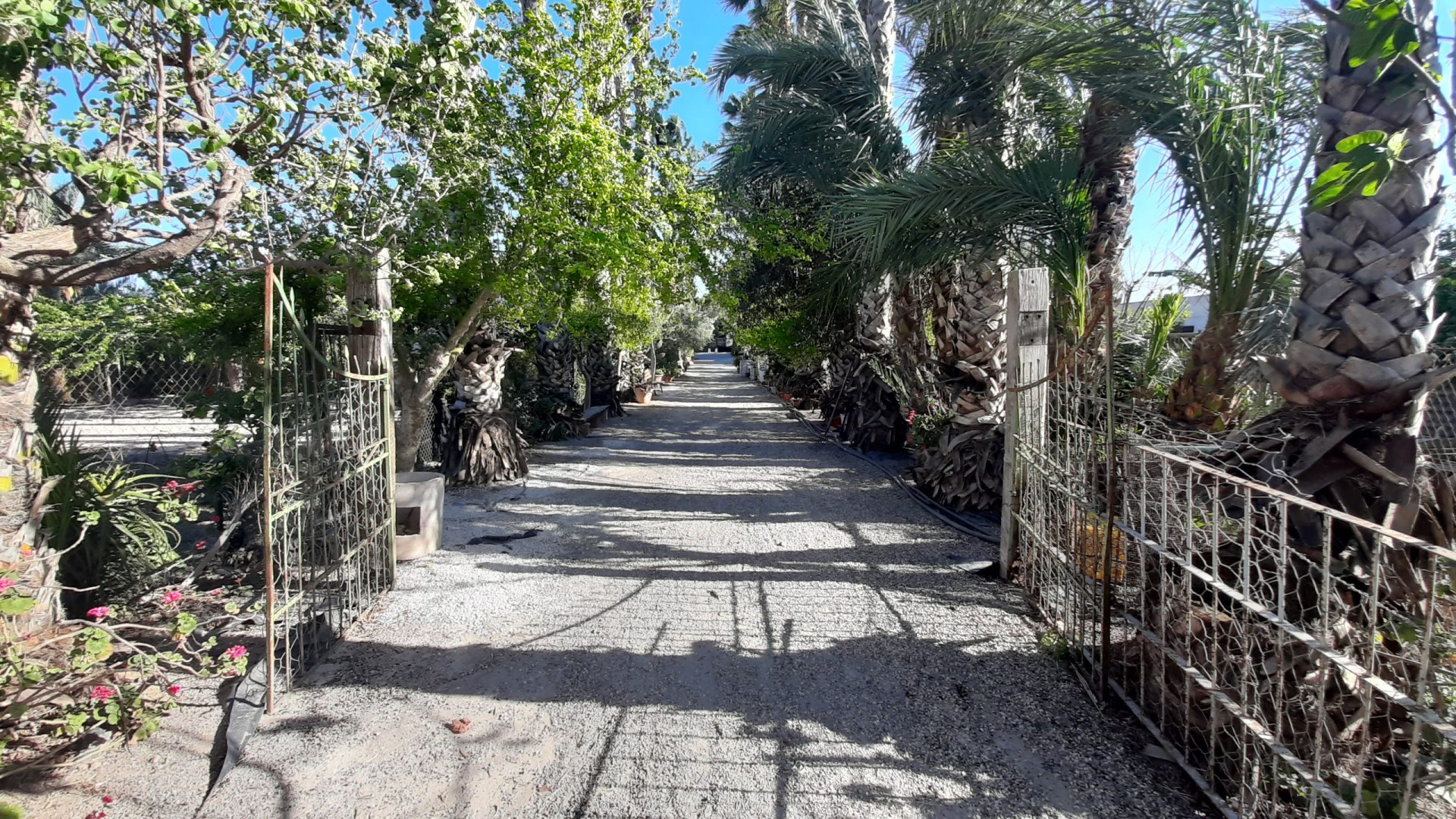 Resale - Freistehende Villa -
Orihuela