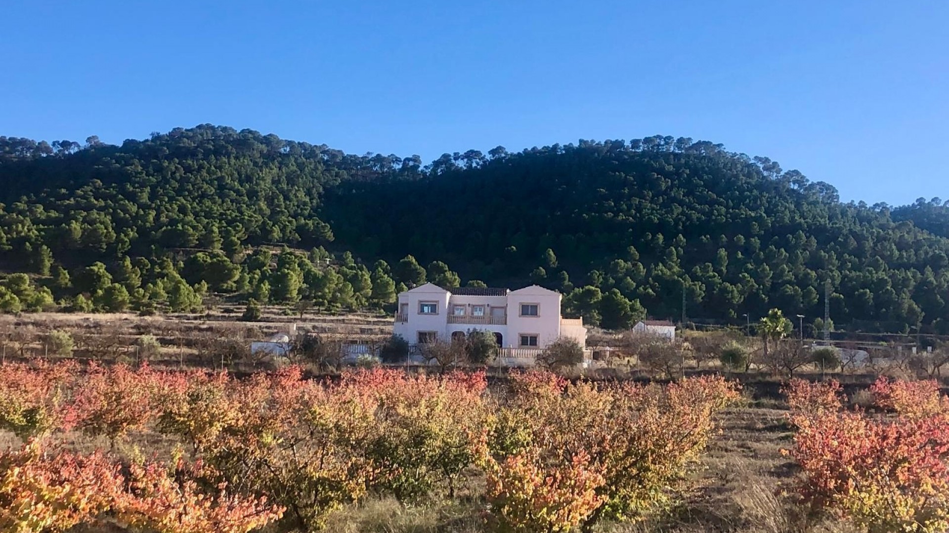 Resale - Freistehende Villa -
Pinoso - Pinoso Alicante