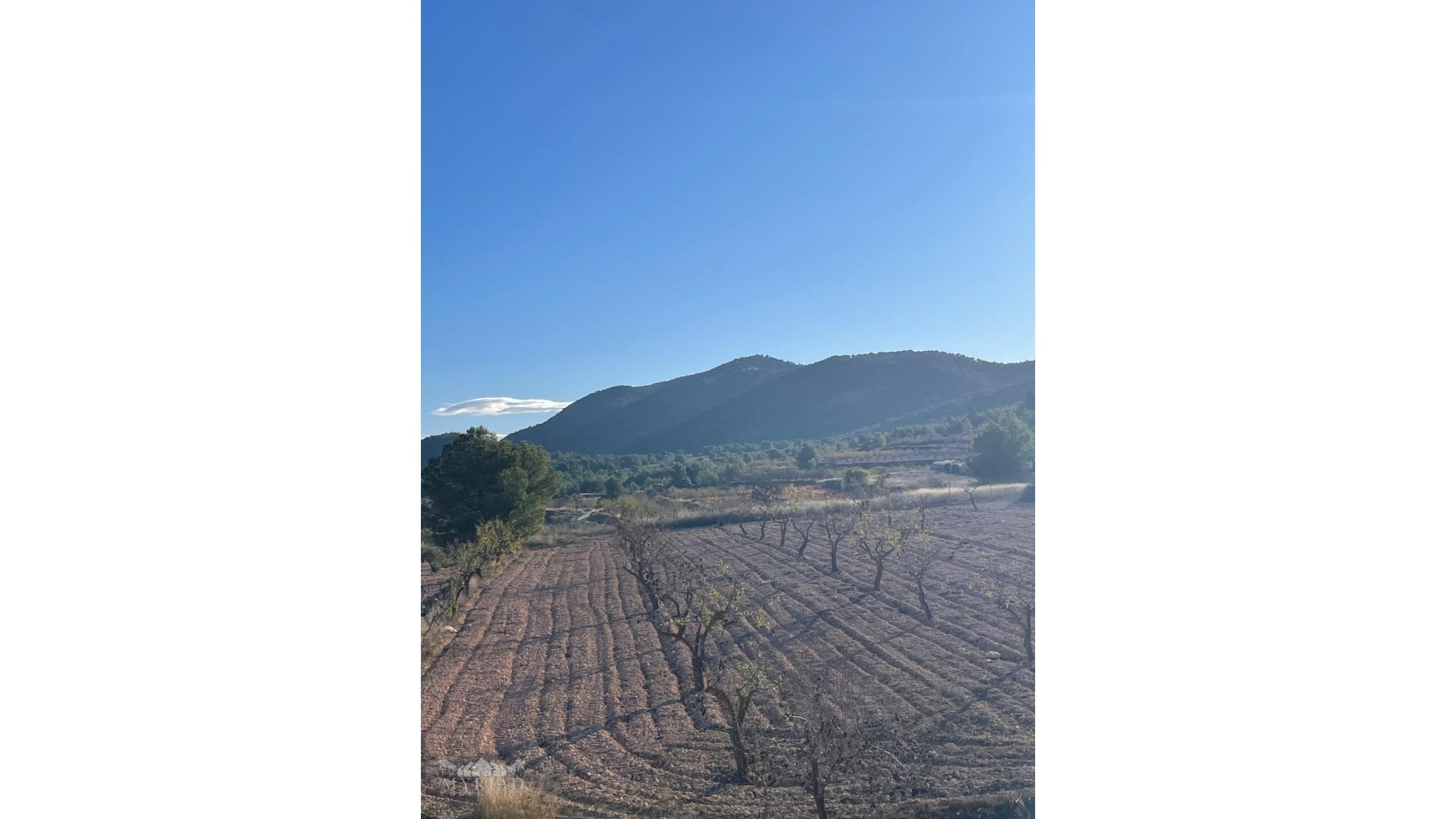 Resale - Freistehende Villa -
Pinoso - Pinoso Alicante