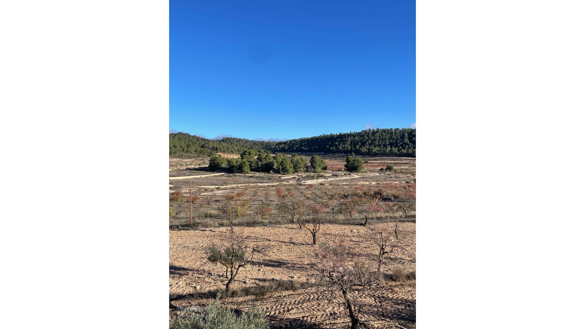 Resale - Freistehende Villa -
Pinoso - Pinoso Alicante