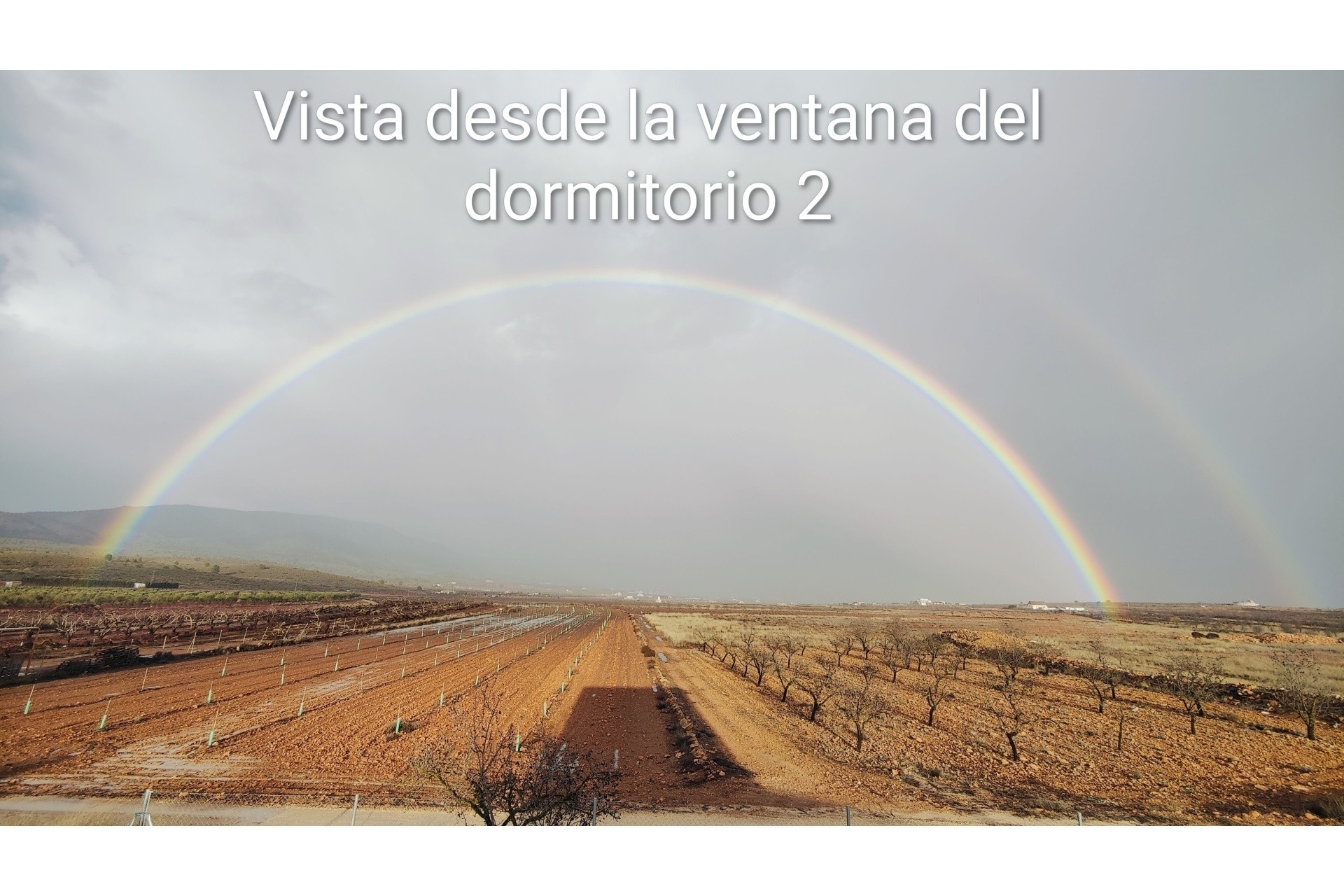 Resale - Freistehende Villa -
Pinoso - Pinoso Alicante
