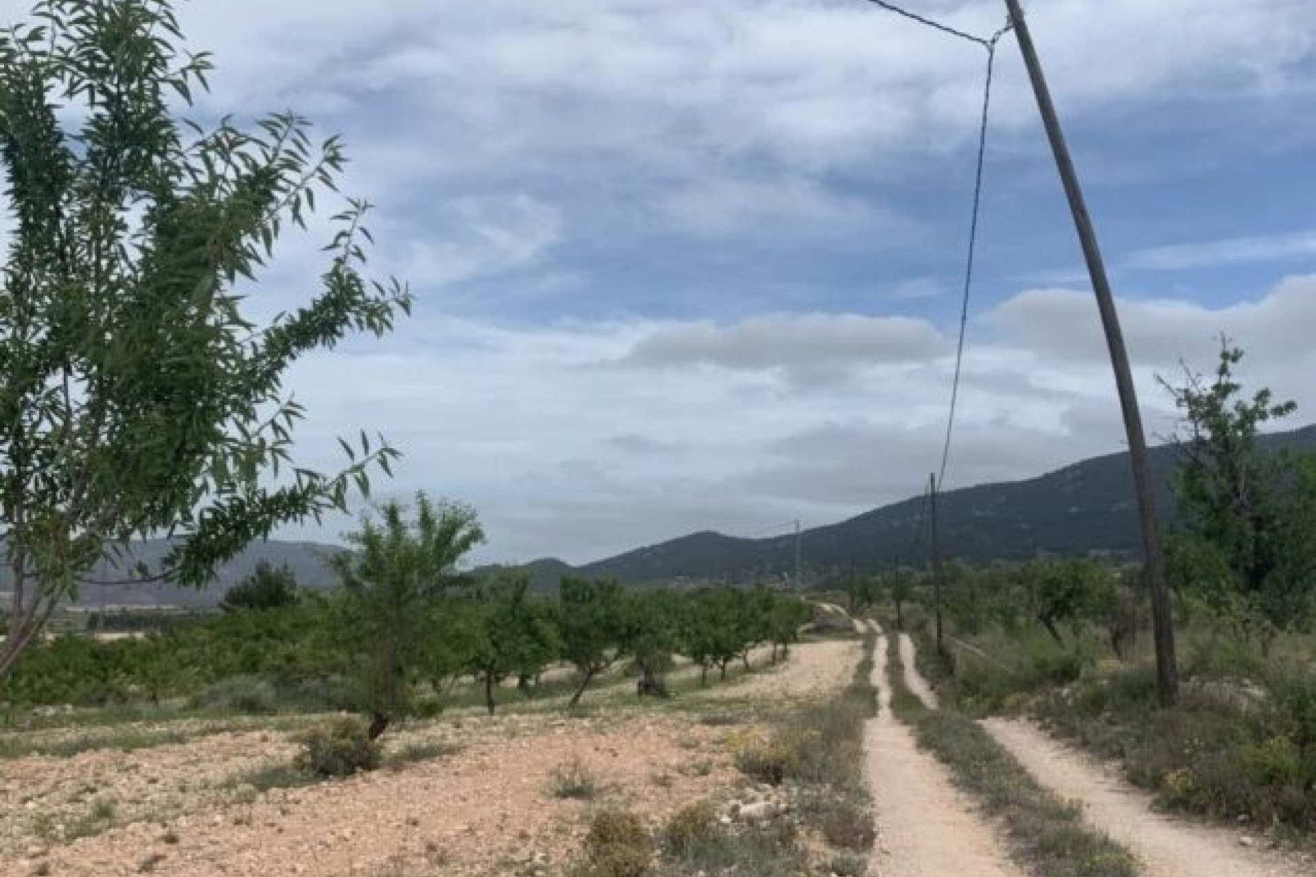 Resale - Freistehende Villa -
Pinoso