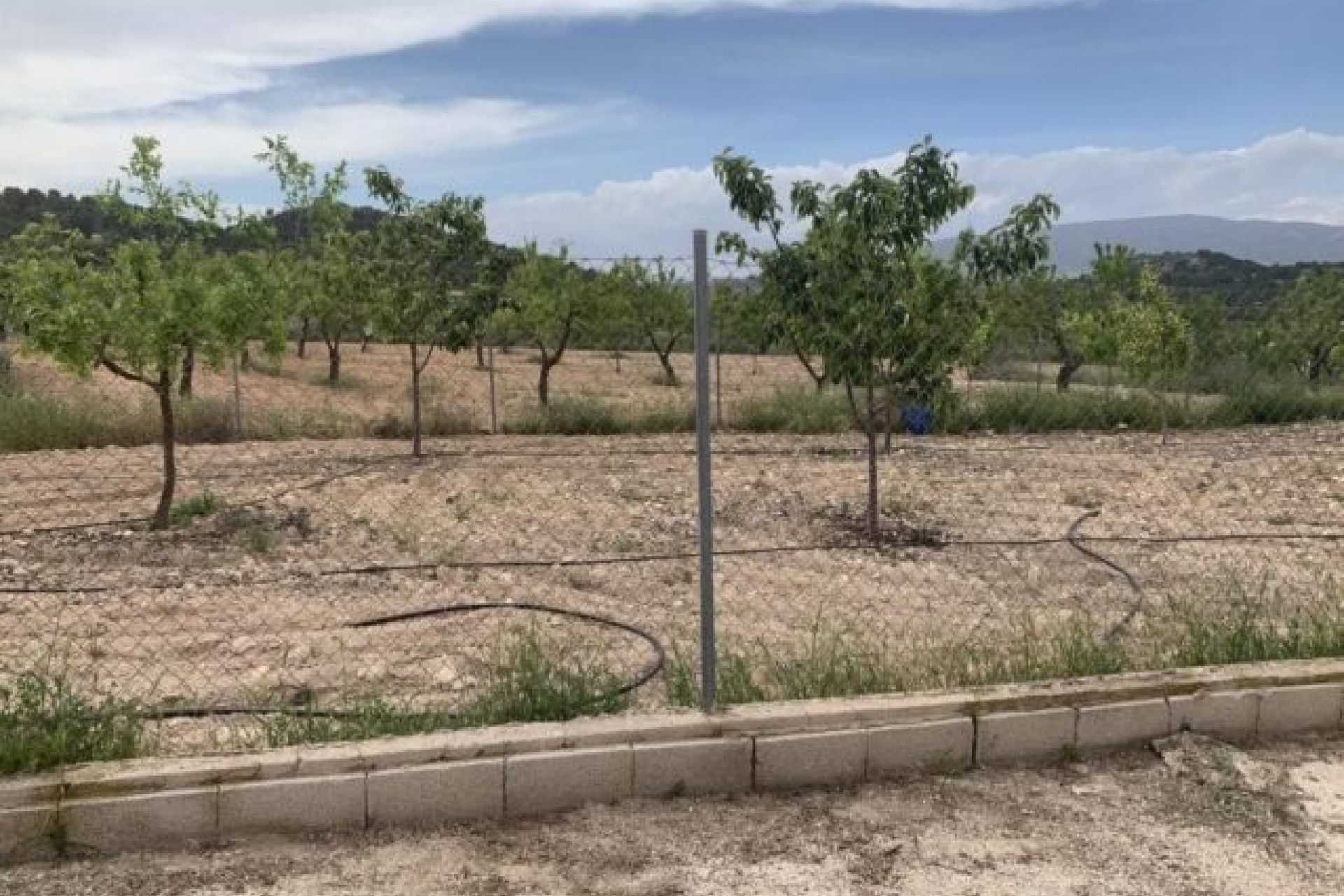 Resale - Freistehende Villa -
Pinoso