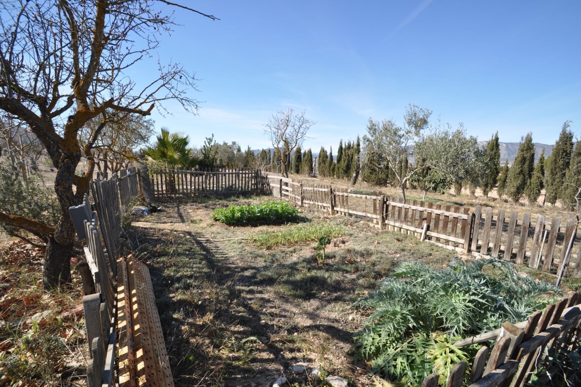 Resale - Freistehende Villa -
Salinas - Inland