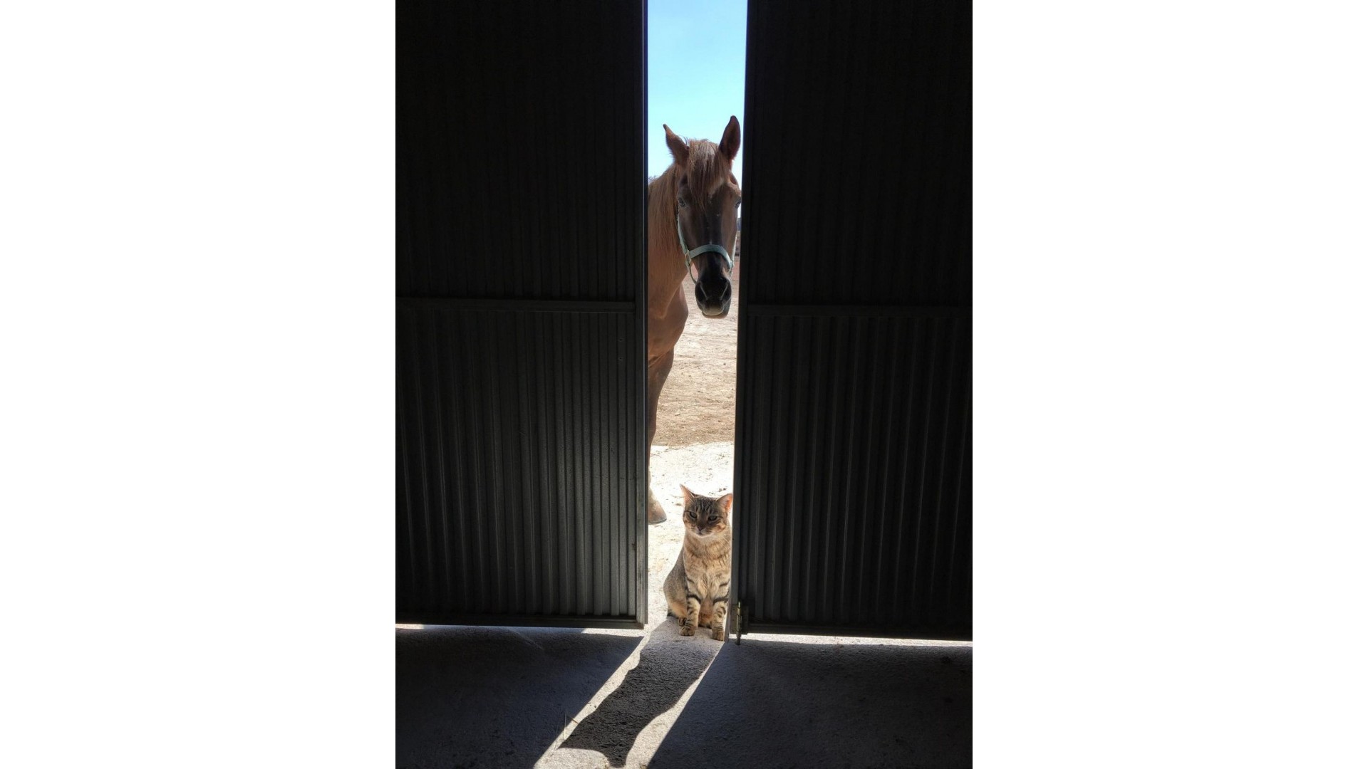 Resale - Freistehende Villa -
Torre del Rico - Torre Del Rico