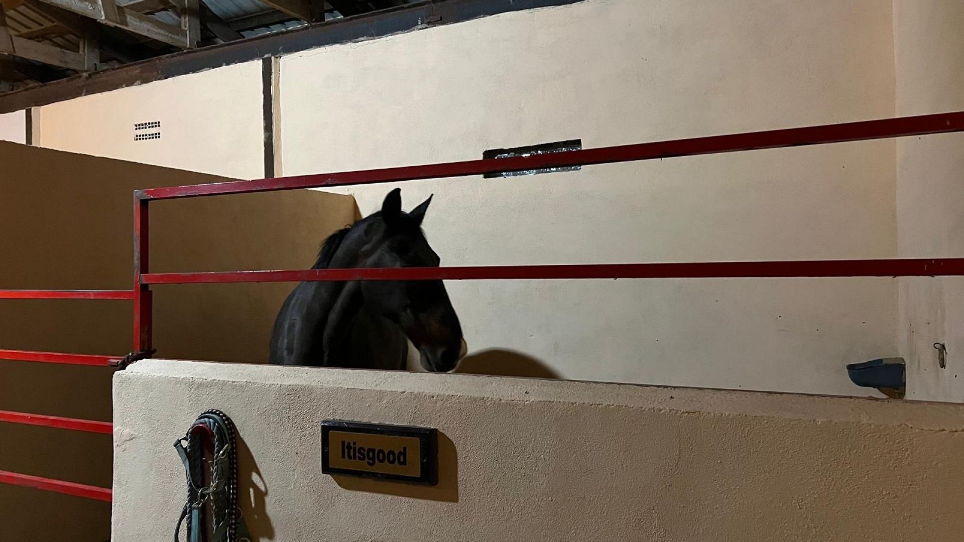 Resale - Freistehende Villa -
Torre del Rico - Torre Del Rico