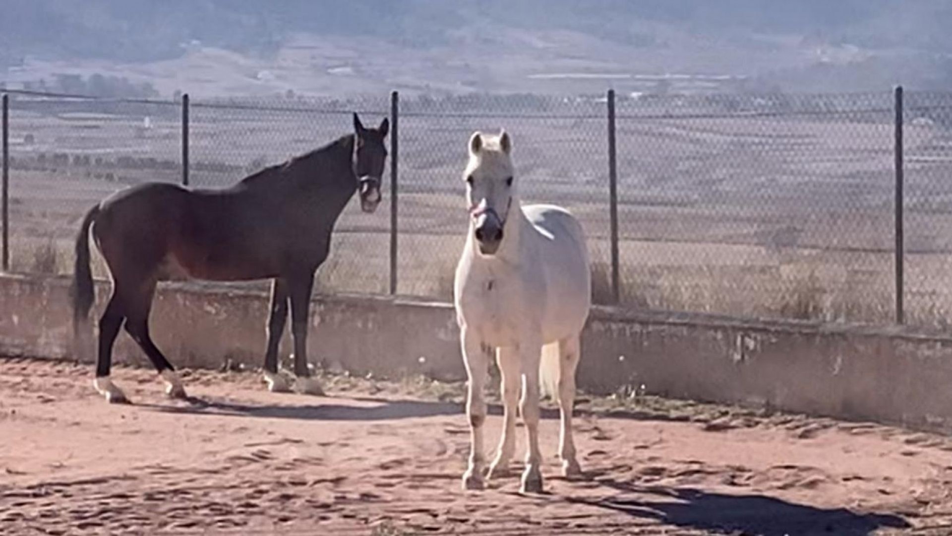 Resale - Freistehende Villa -
Torre del Rico - Torre Del Rico