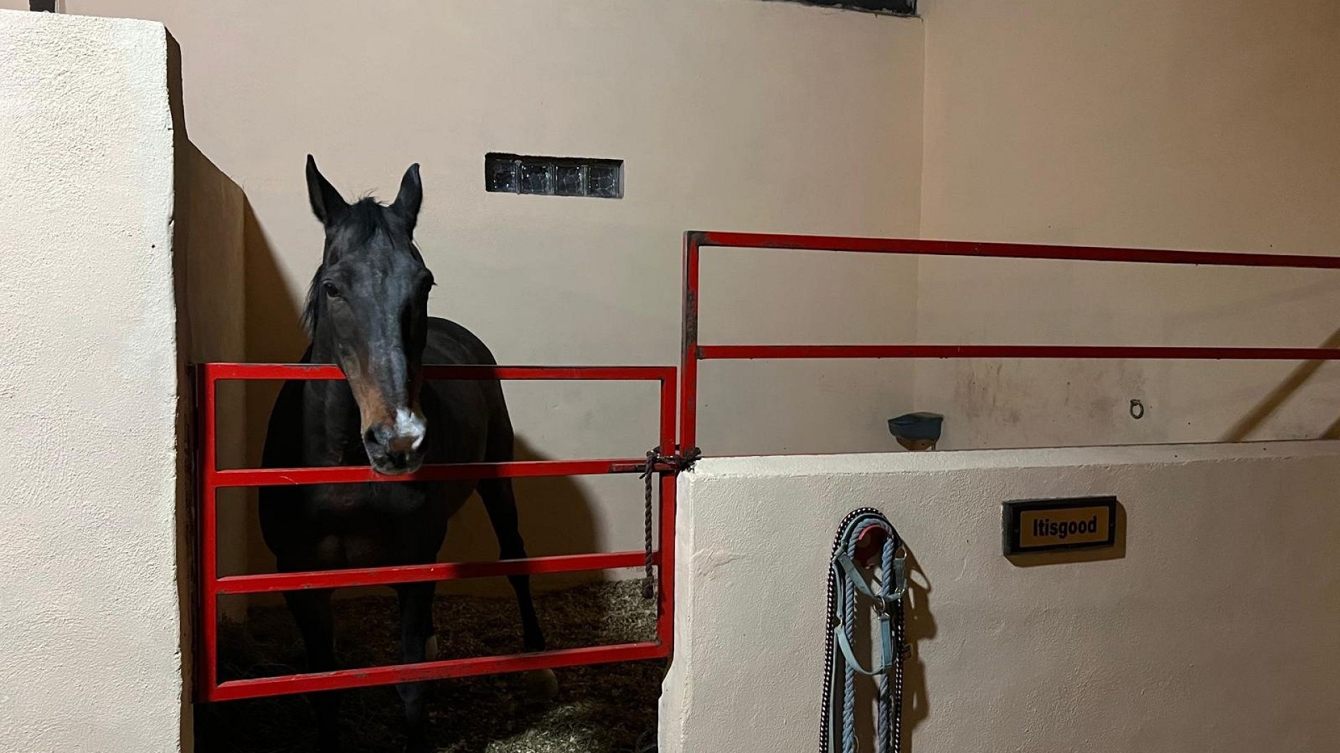 Resale - Freistehende Villa -
Torre del Rico - Torre Del Rico