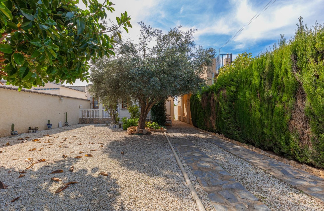 Resale - Freistehende Villa -
Torrevieja - El chaparral