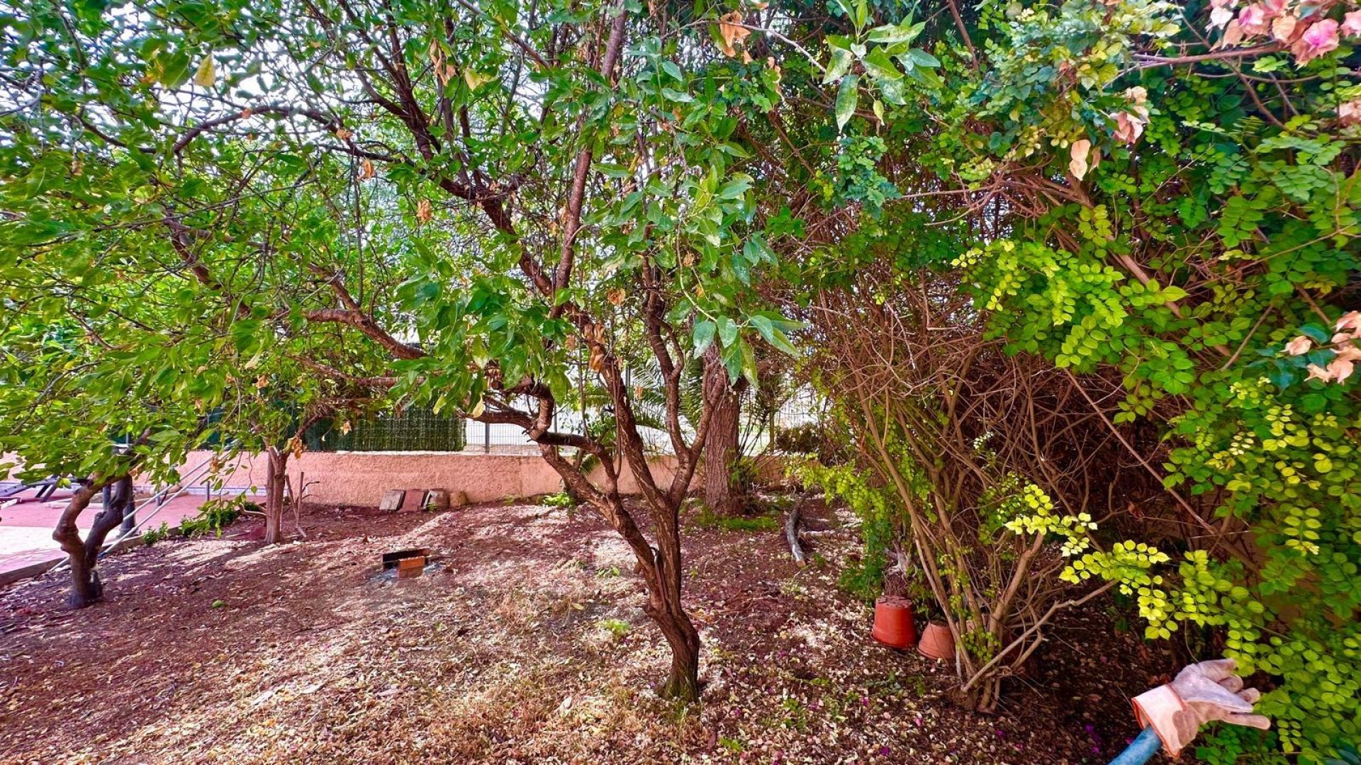 Resale - Freistehende Villa -
Torrevieja - Los Balcones - Los Altos del Edén