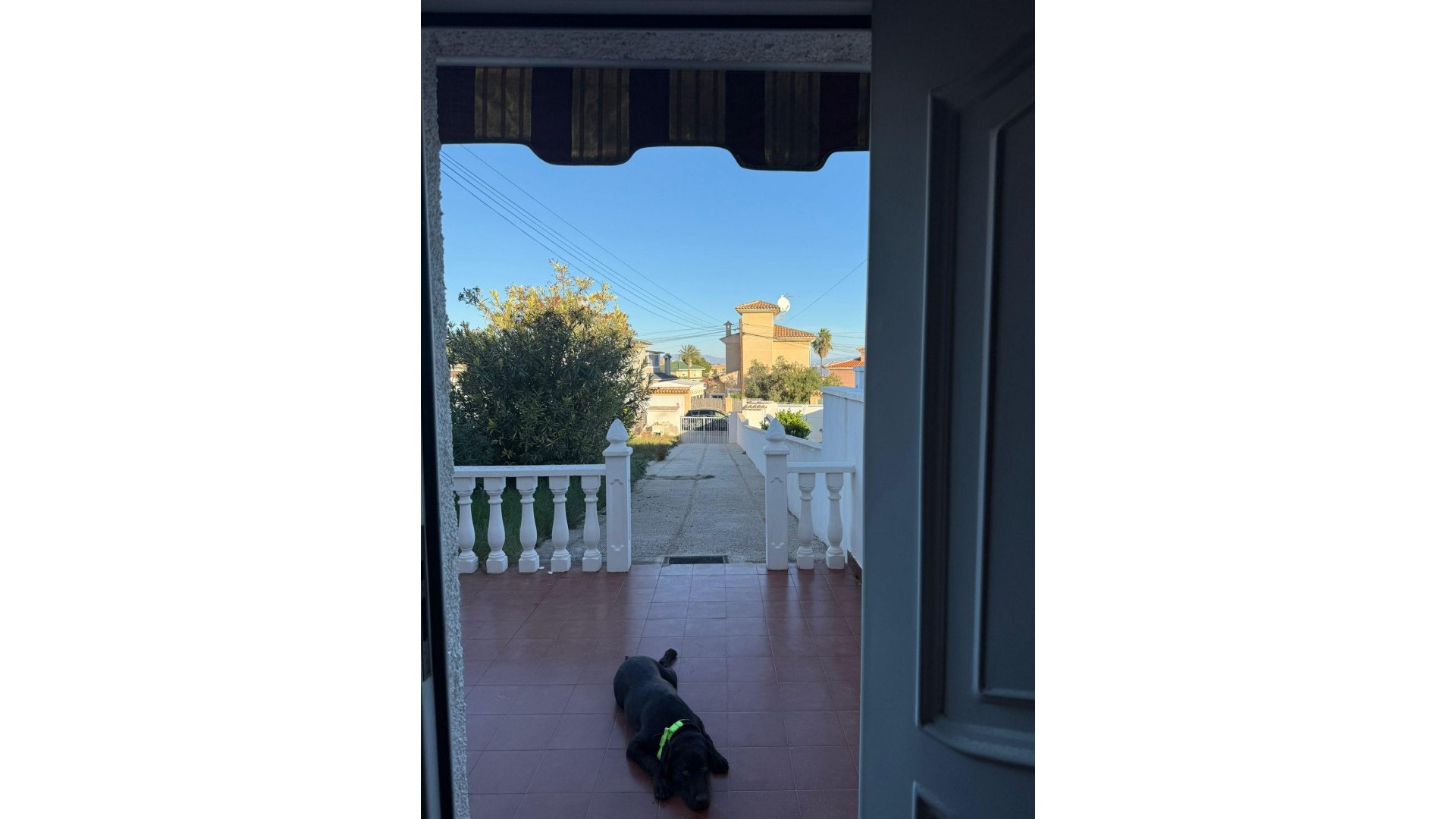 Resale - Freistehende Villa -
Torrevieja - Los Balcones