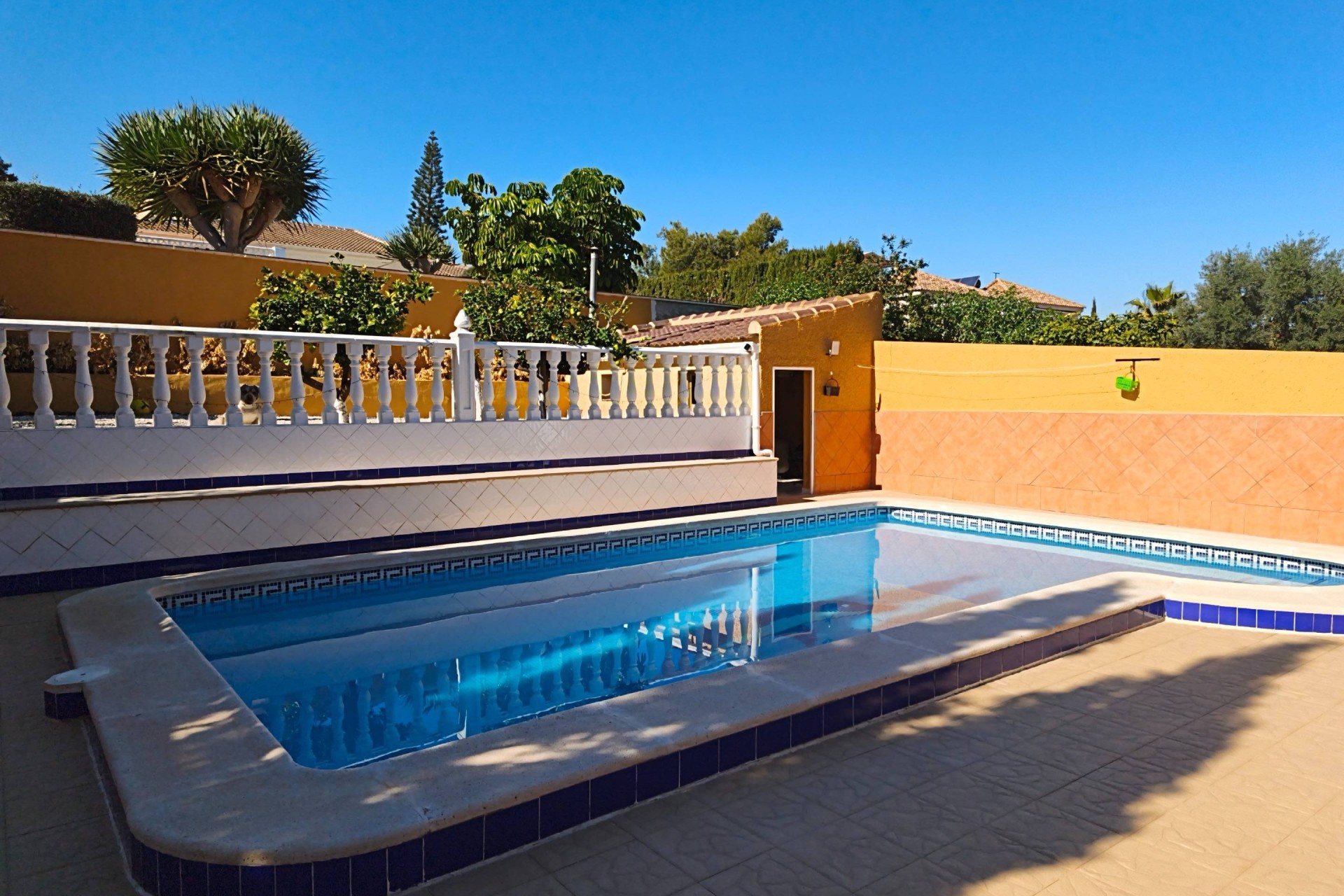 Resale - Freistehende Villa -
Torrevieja - Los Balcones