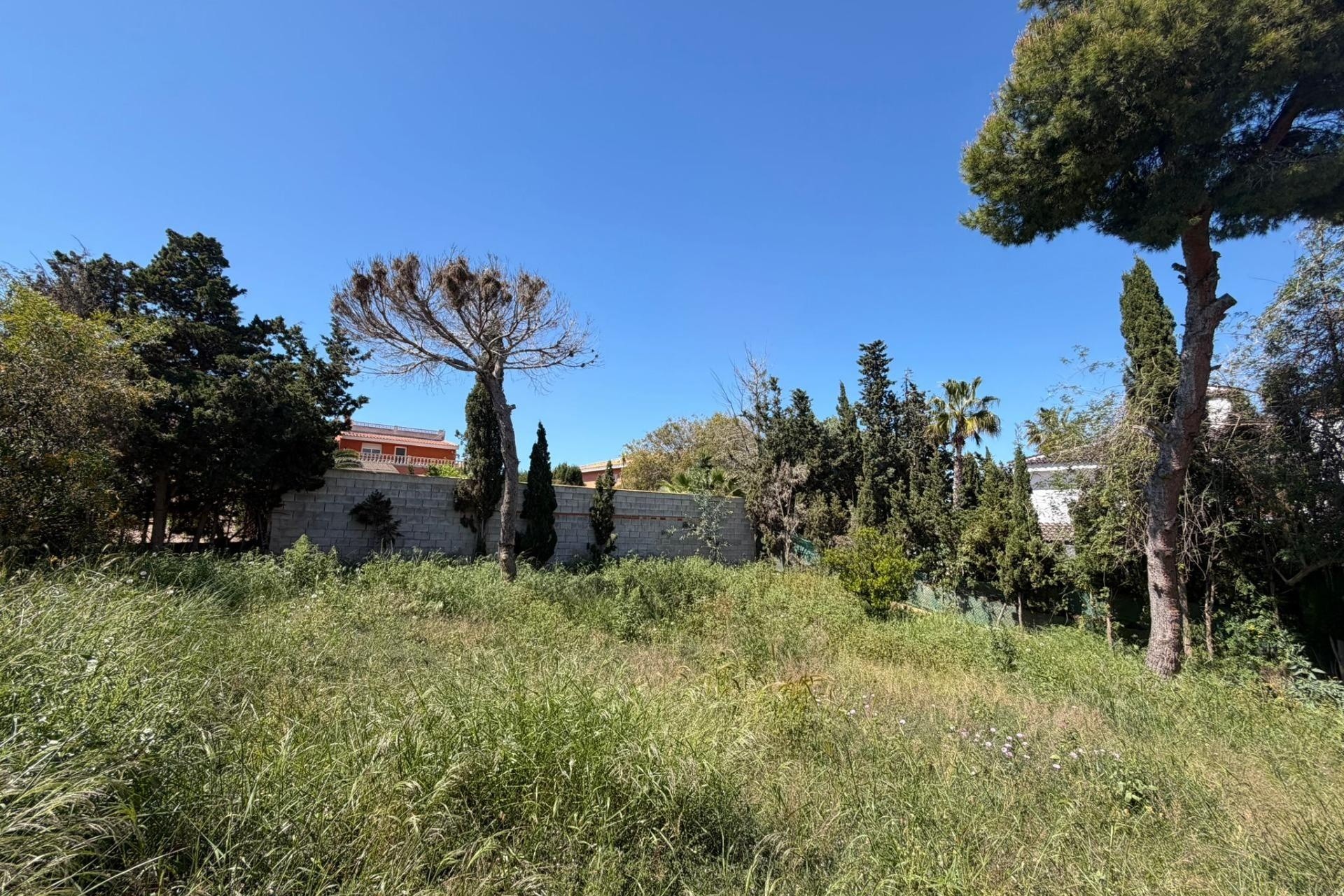 Resale - Freistehende Villa -
Torrevieja - Los Balcones