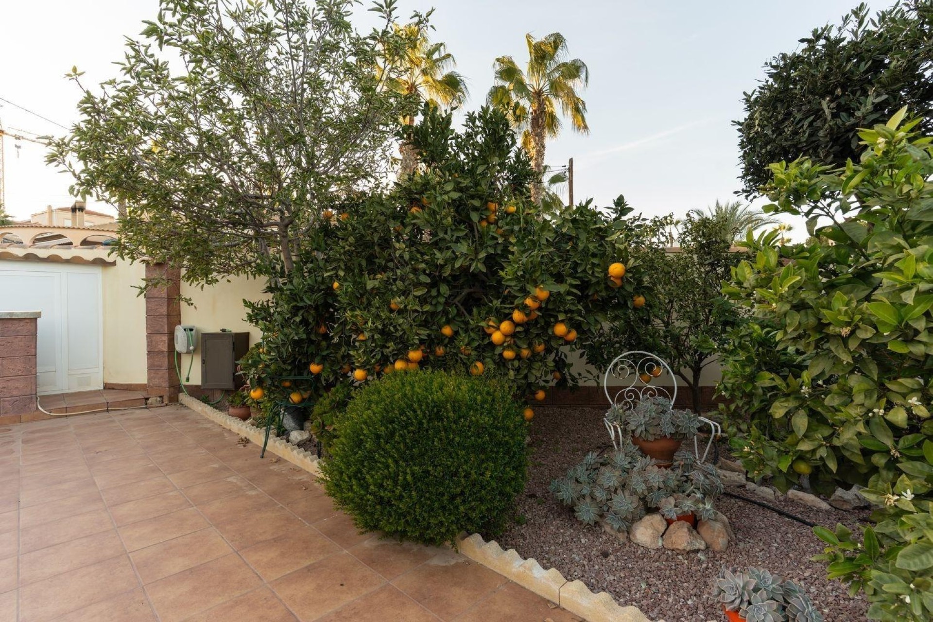 Resale - Freistehende Villa -
Torrevieja - Los Balcones