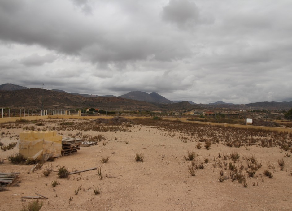 Resale - Grundstück Grundstück -
Abanilla