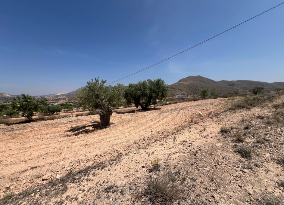 Resale - Grundstück Grundstück -
Barbarroja