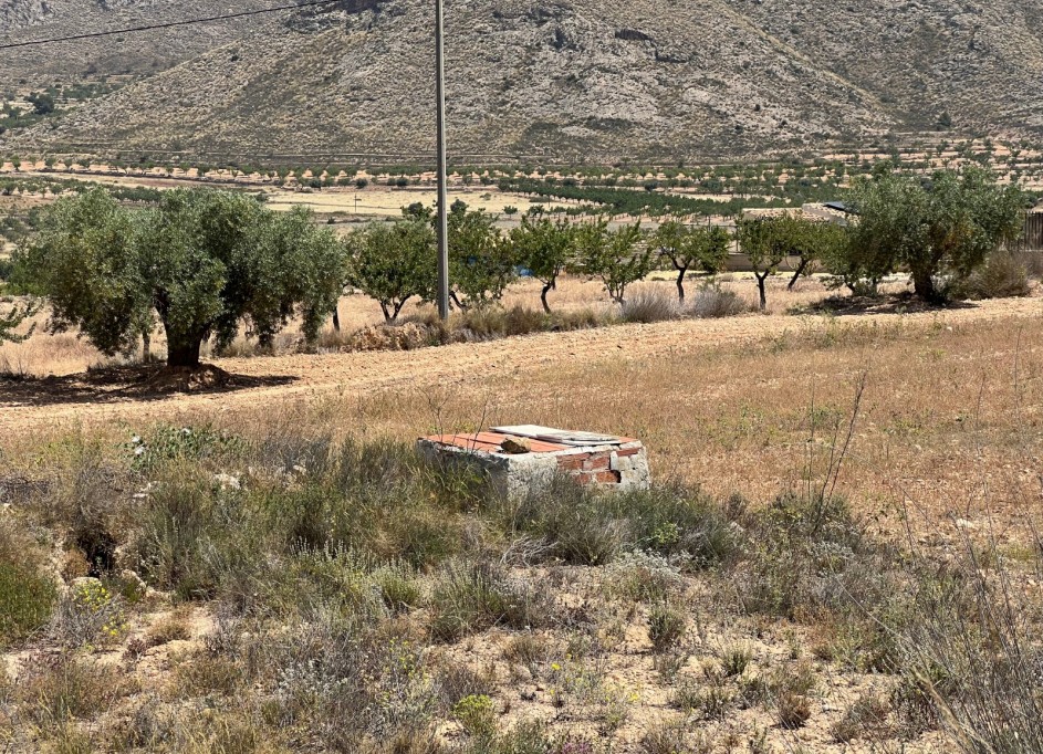 Resale - Grundstück Grundstück -
Barbarroja