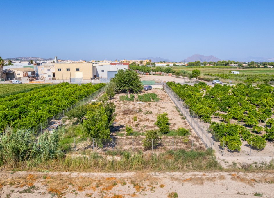 Resale - Grundstück Grundstück -
Formentera del Segura - Formentera de Segura