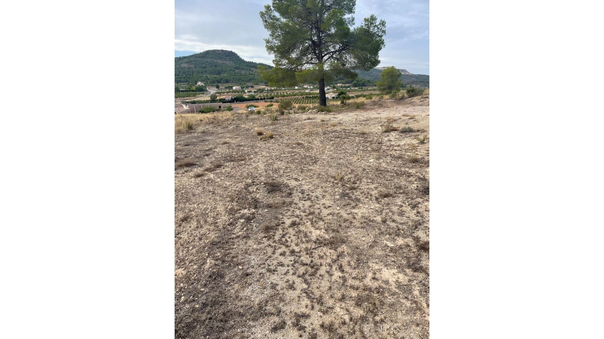 Resale - Grundstück Grundstück -
Pinoso - Pinoso Alicante