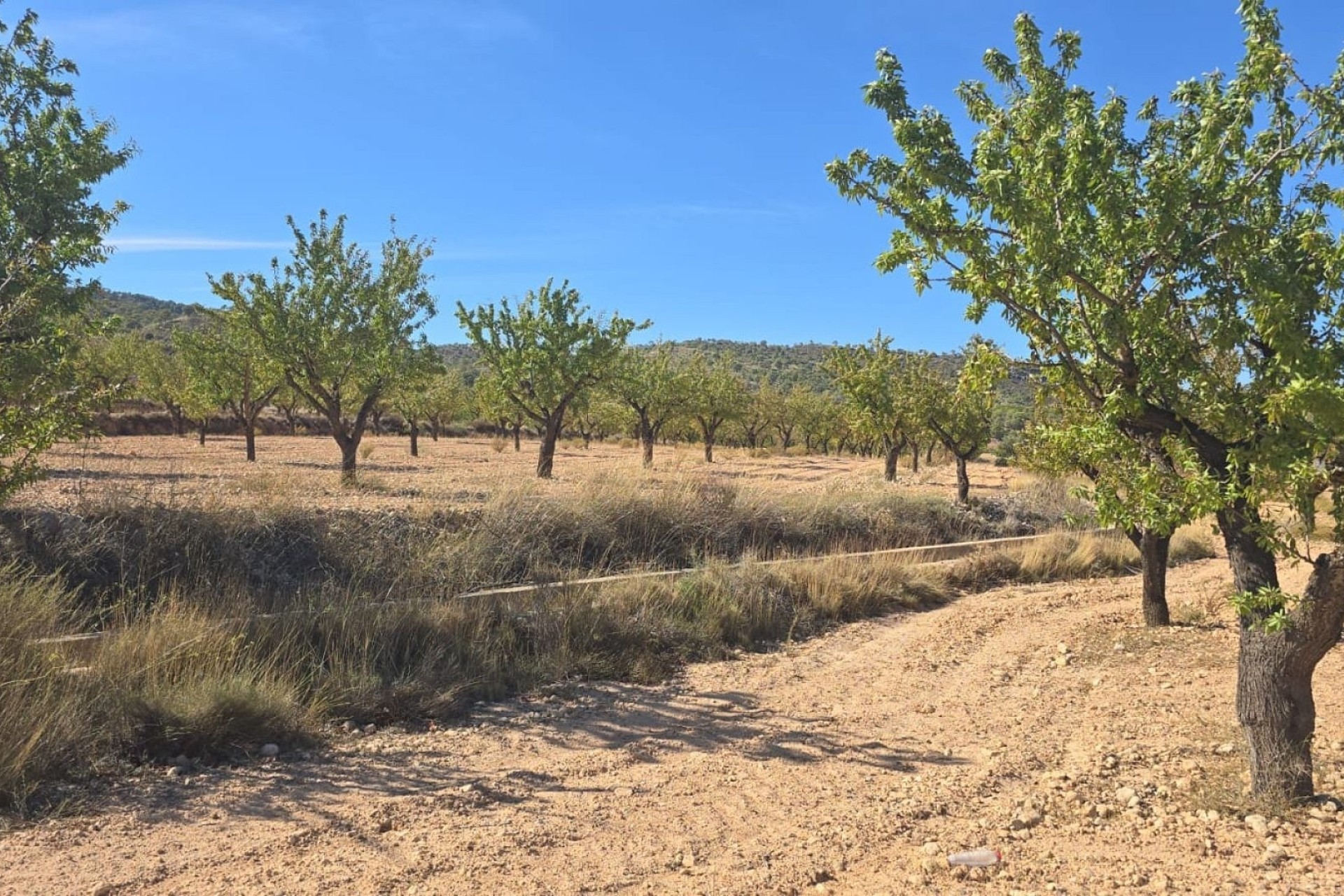 Resale - Grundstück Grundstück -
Salinas
