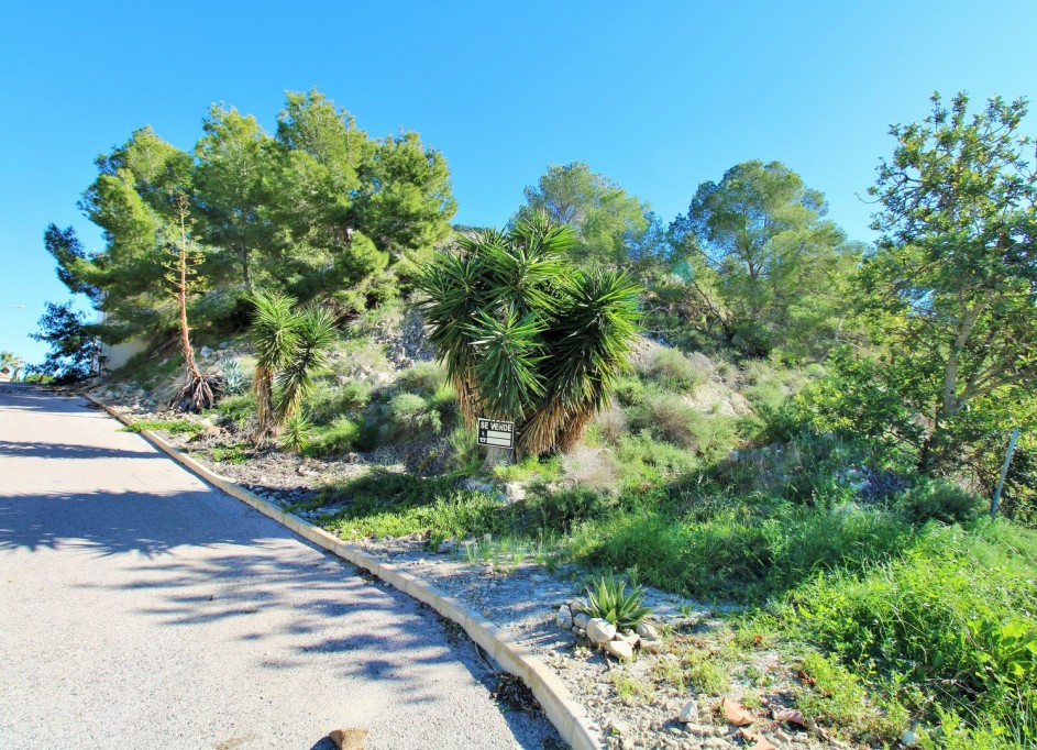 Resale - Grundstück Grundstück -
San Miguel de Salinas