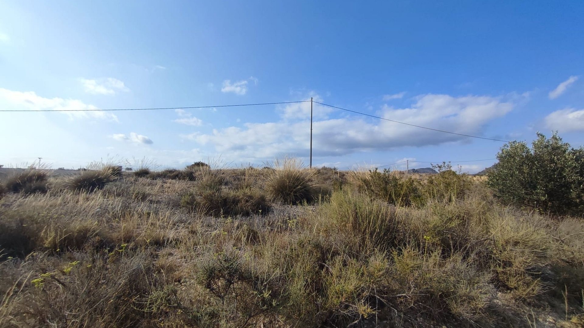 Resale - Grundstück Grundstück -
SAX