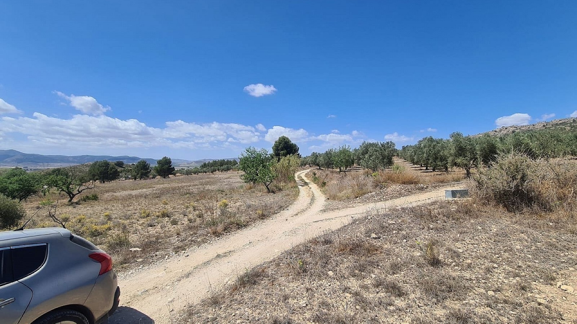 Resale - Grundstück Grundstück -
SAX