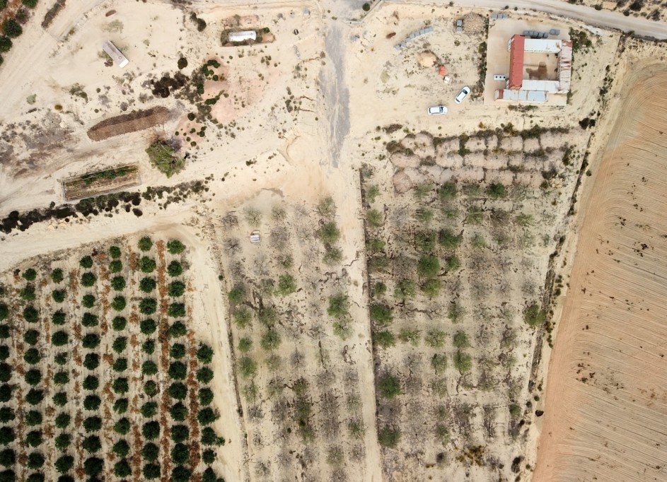 Resale - Grundstück Grundstück -
Torremendo - Torremendo - Country