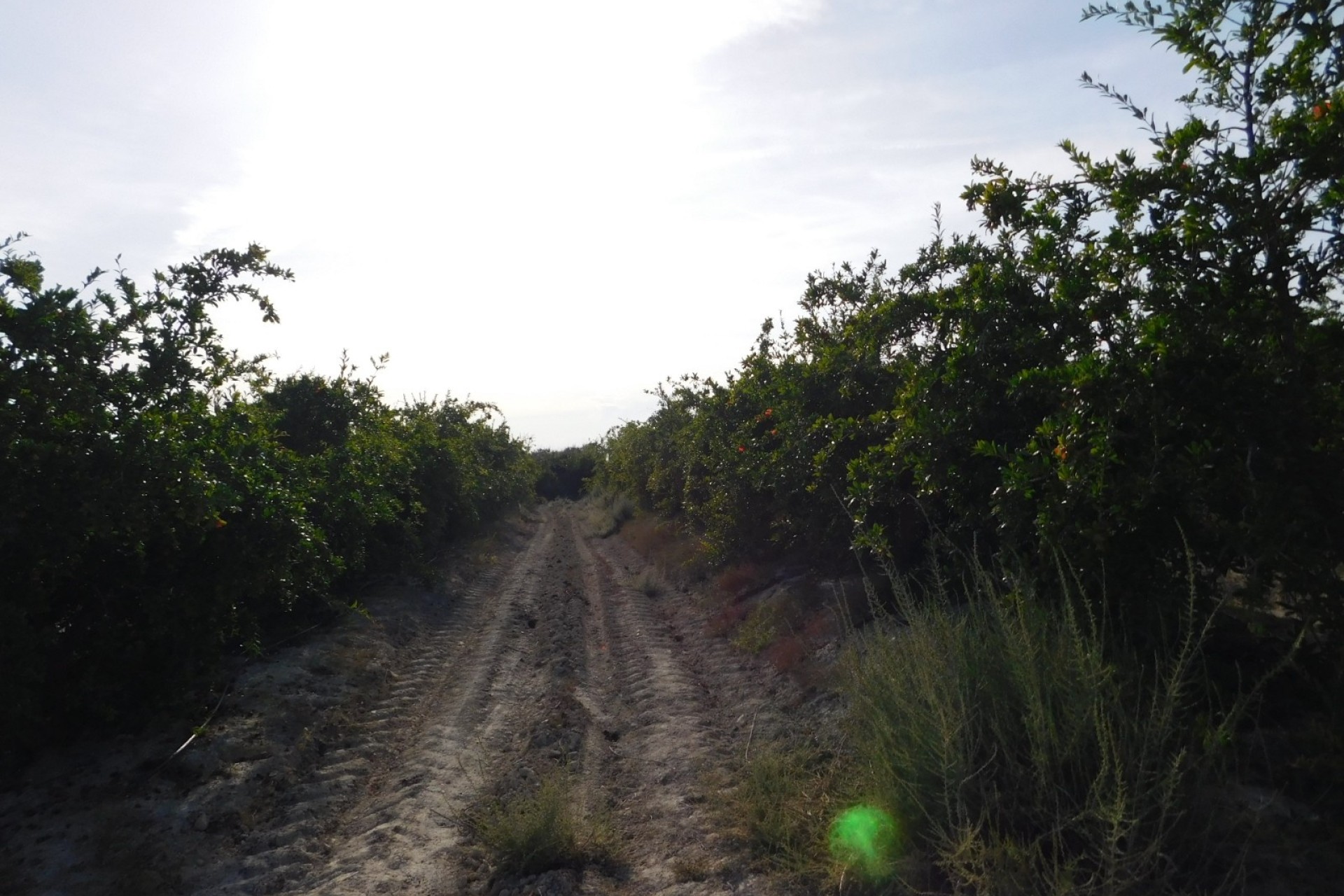 Resale - Grundstück Grundstück -
Torremendo