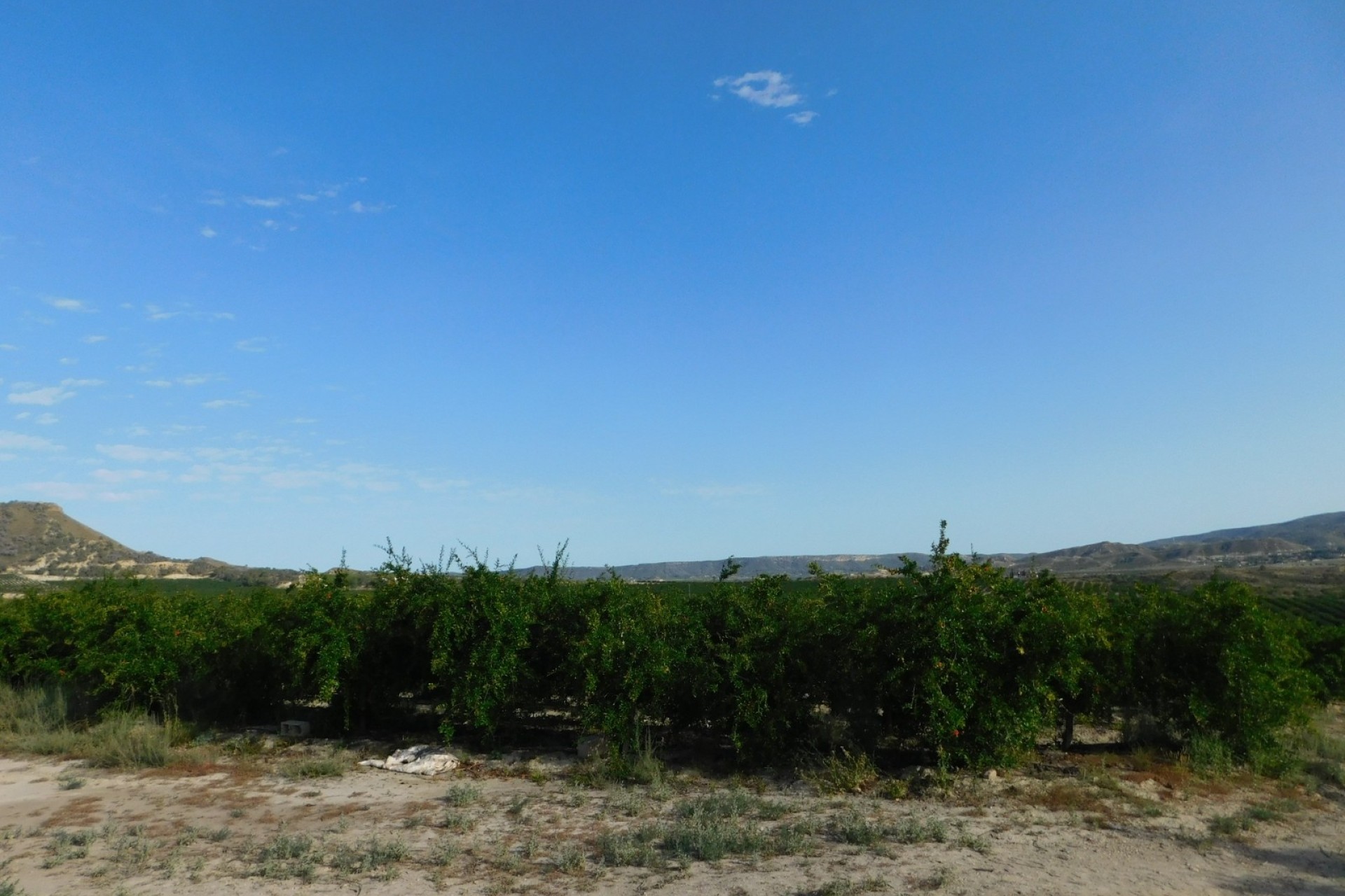 Resale - Grundstück Grundstück -
Torremendo