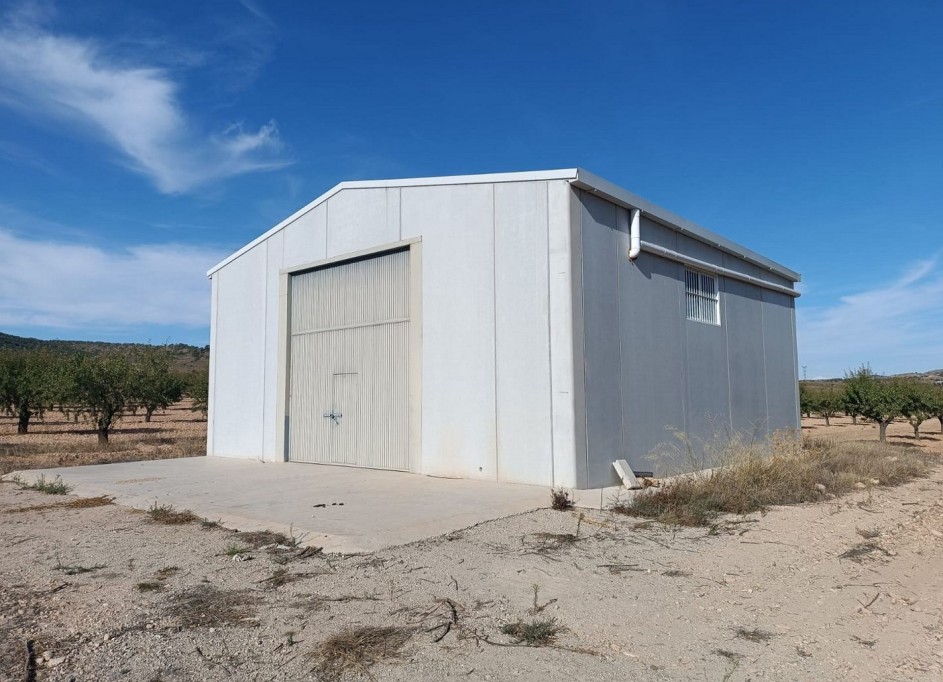 Resale - Grundstück Grundstück -
Yecla