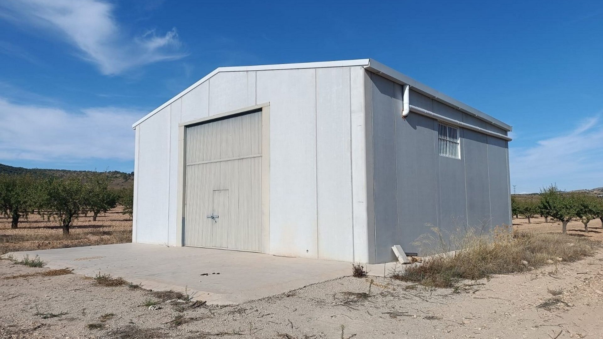 Resale - Grundstück Grundstück -
Yecla