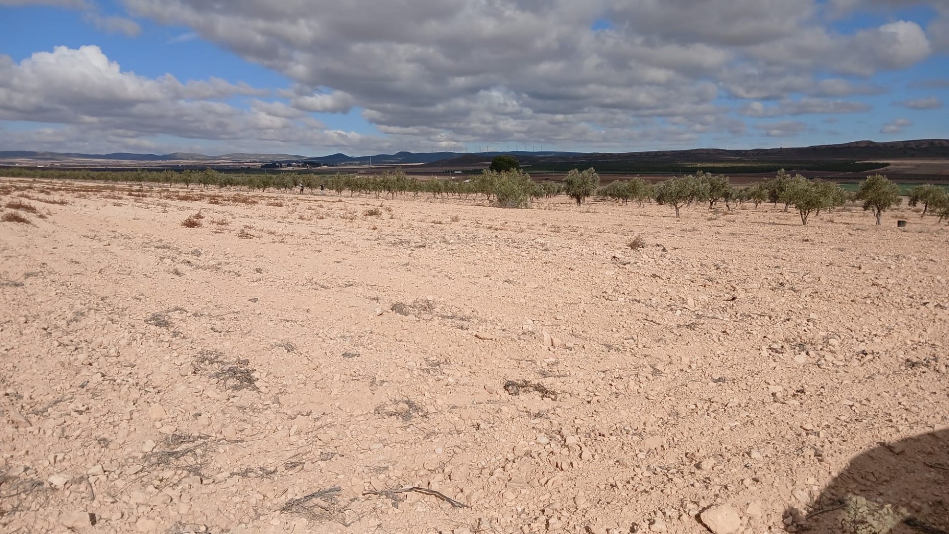 Resale - Grundstück Grundstück -
Yecla