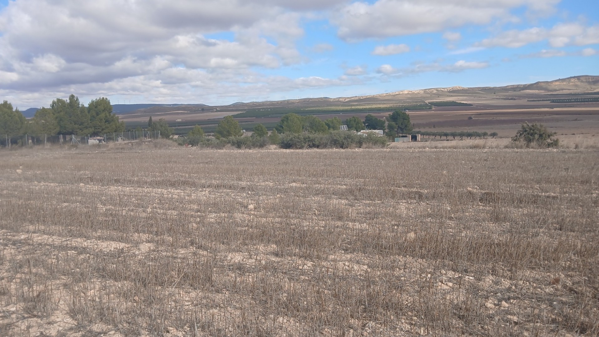 Resale - Grundstück Grundstück -
Yecla