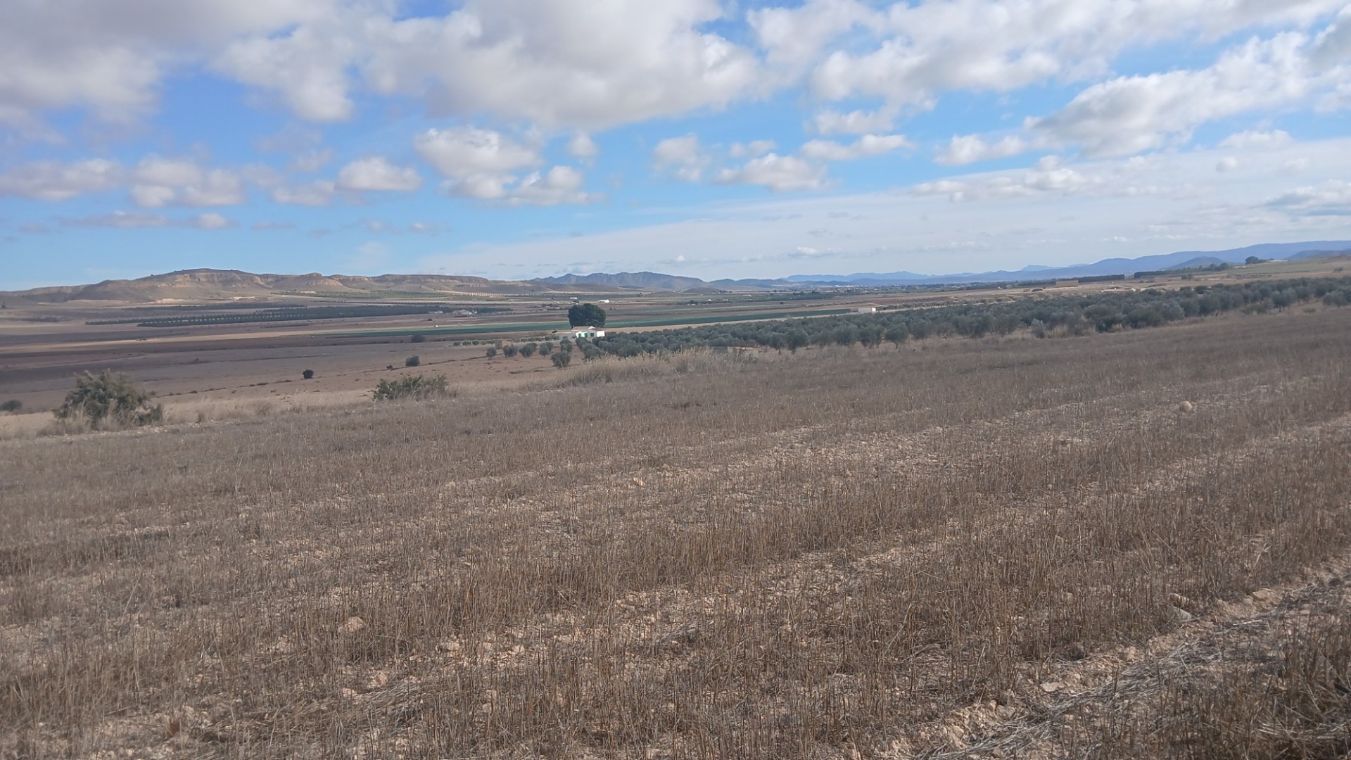 Resale - Grundstück Grundstück -
Yecla