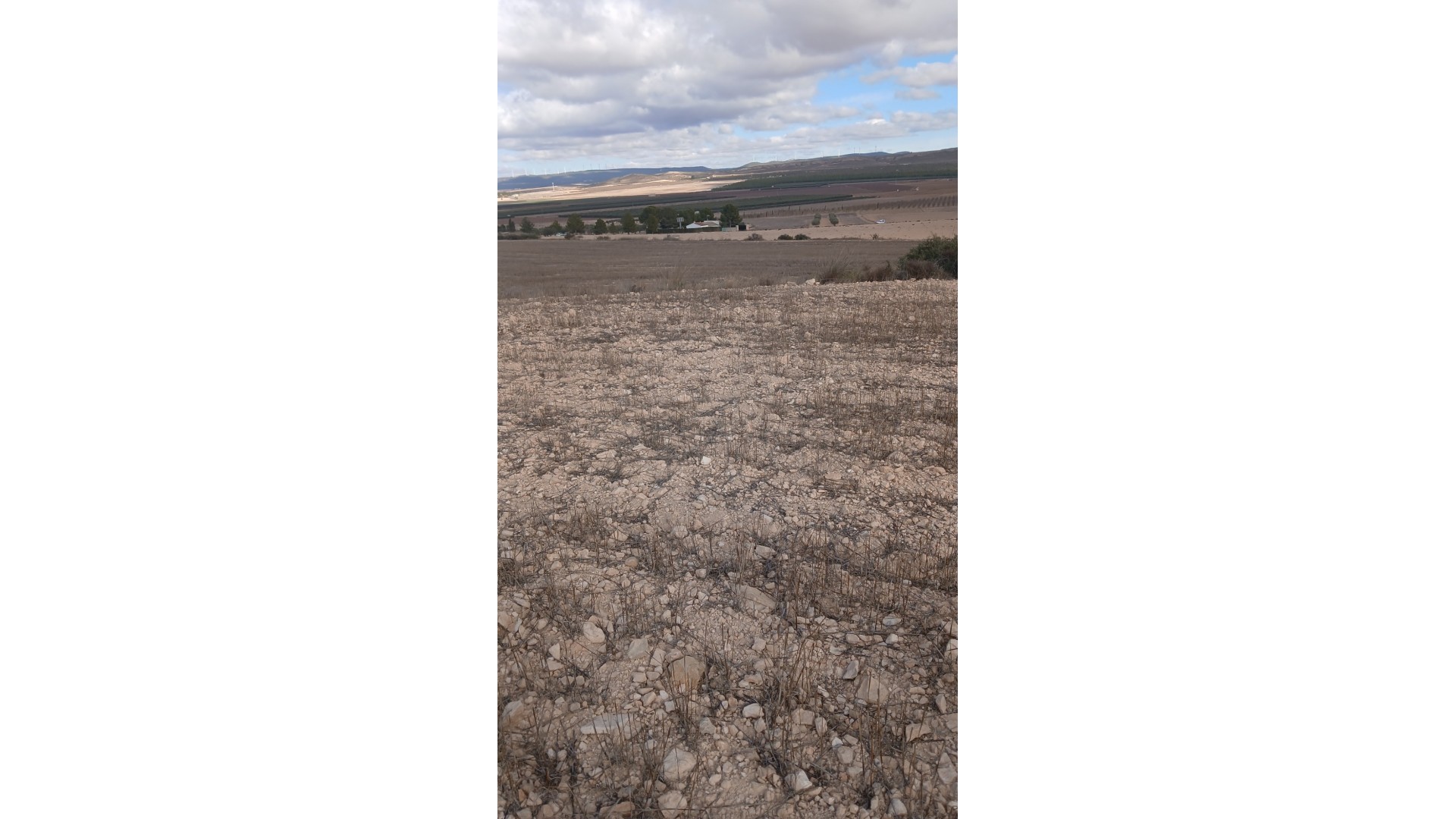 Resale - Grundstück Grundstück -
Yecla