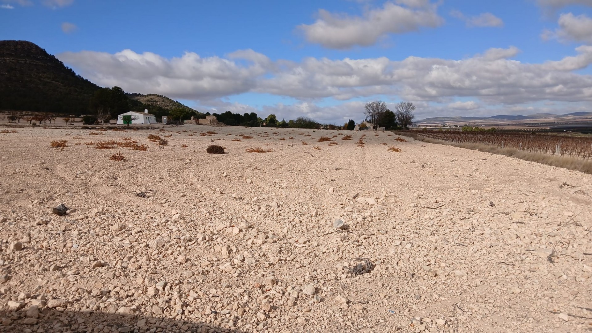 Resale - Grundstück Grundstück -
Yecla