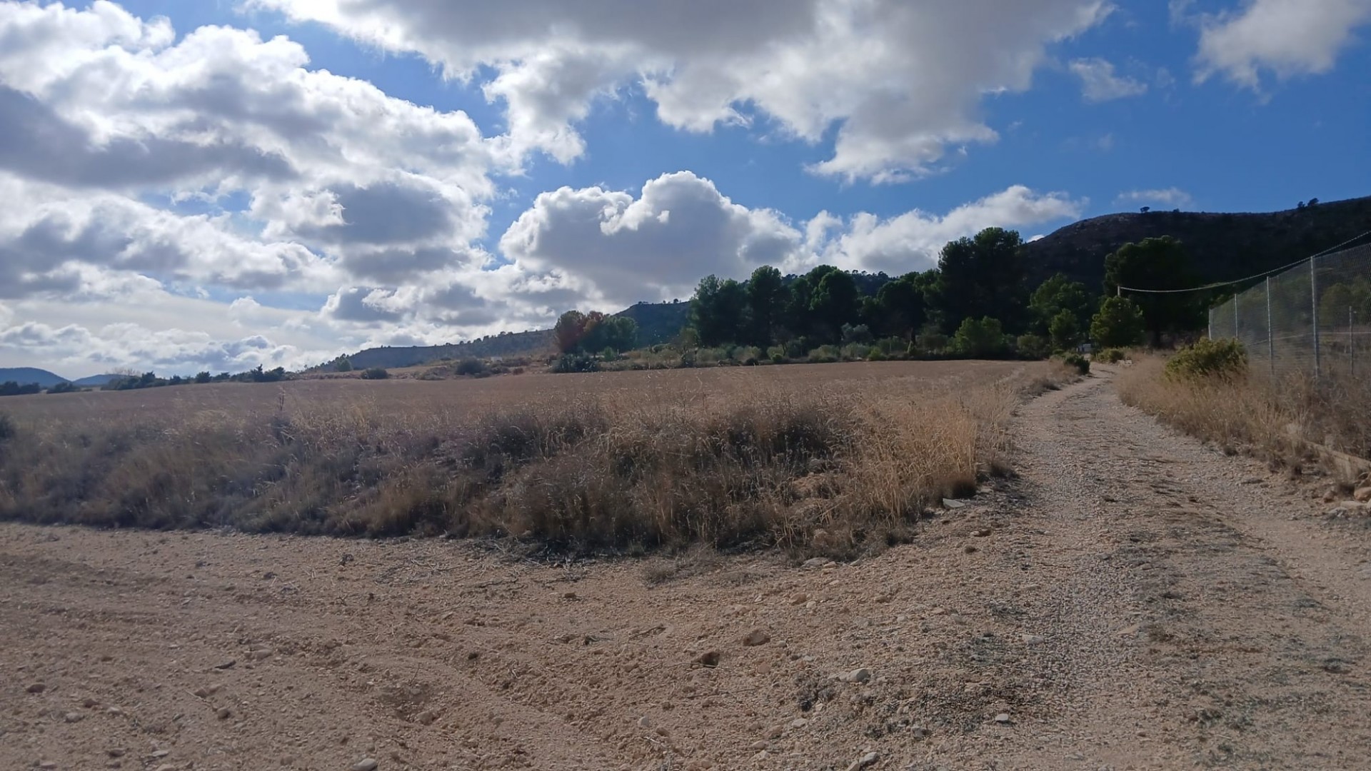 Resale - Grundstück Grundstück -
Yecla