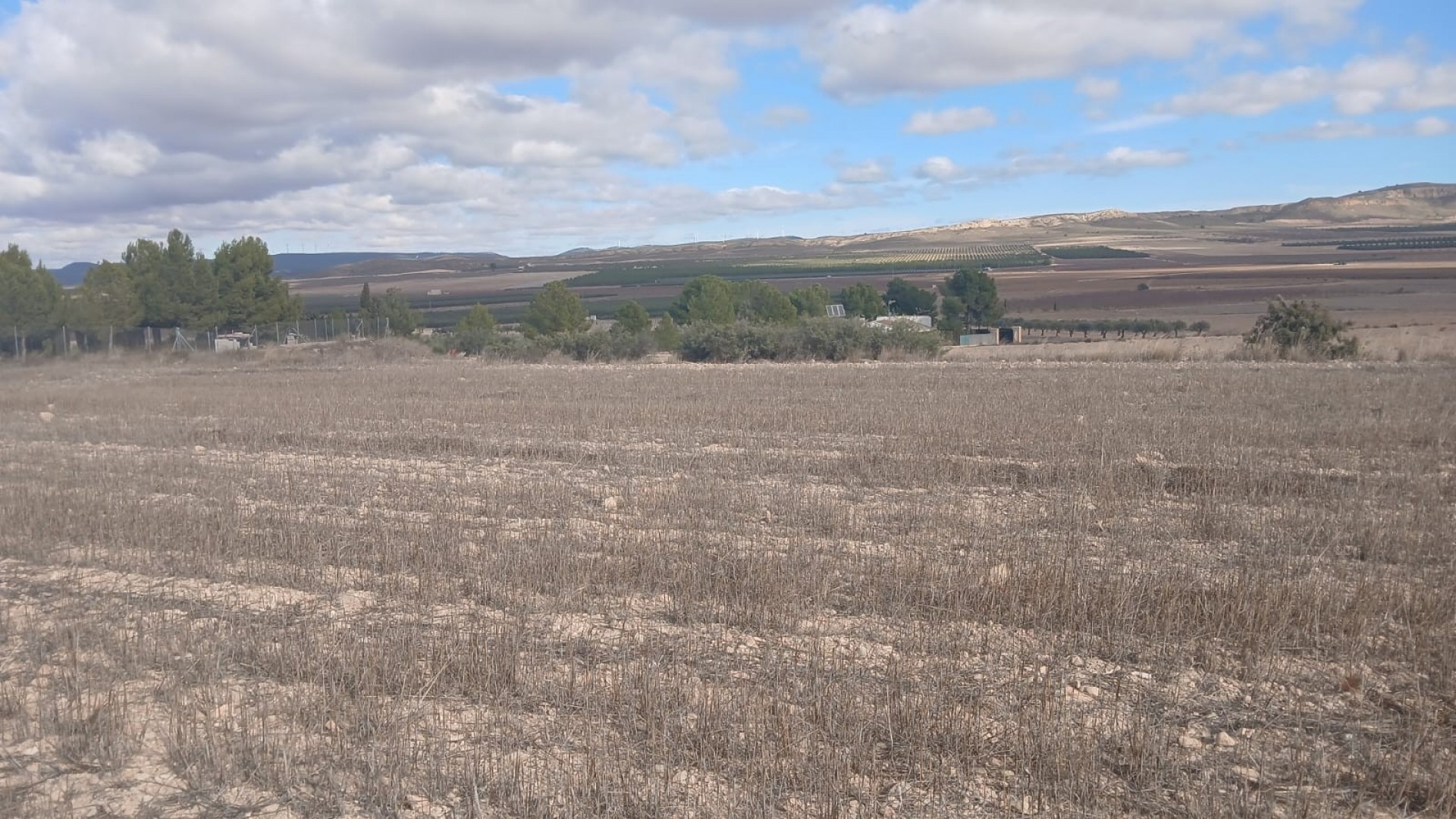 Resale - Grundstück Grundstück -
Yecla