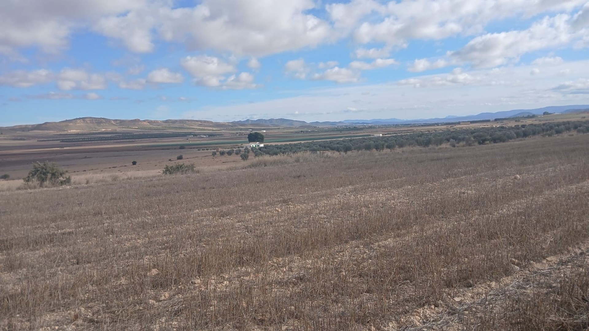 Resale - Grundstück Grundstück -
Yecla