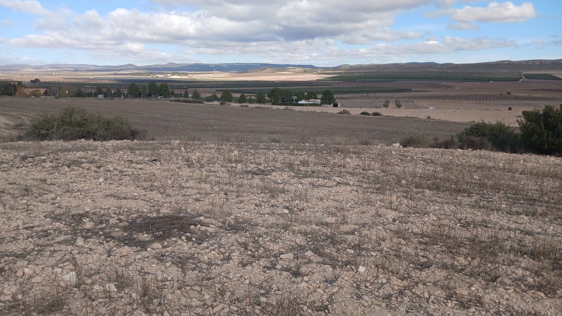 Resale - Grundstück Grundstück -
Yecla