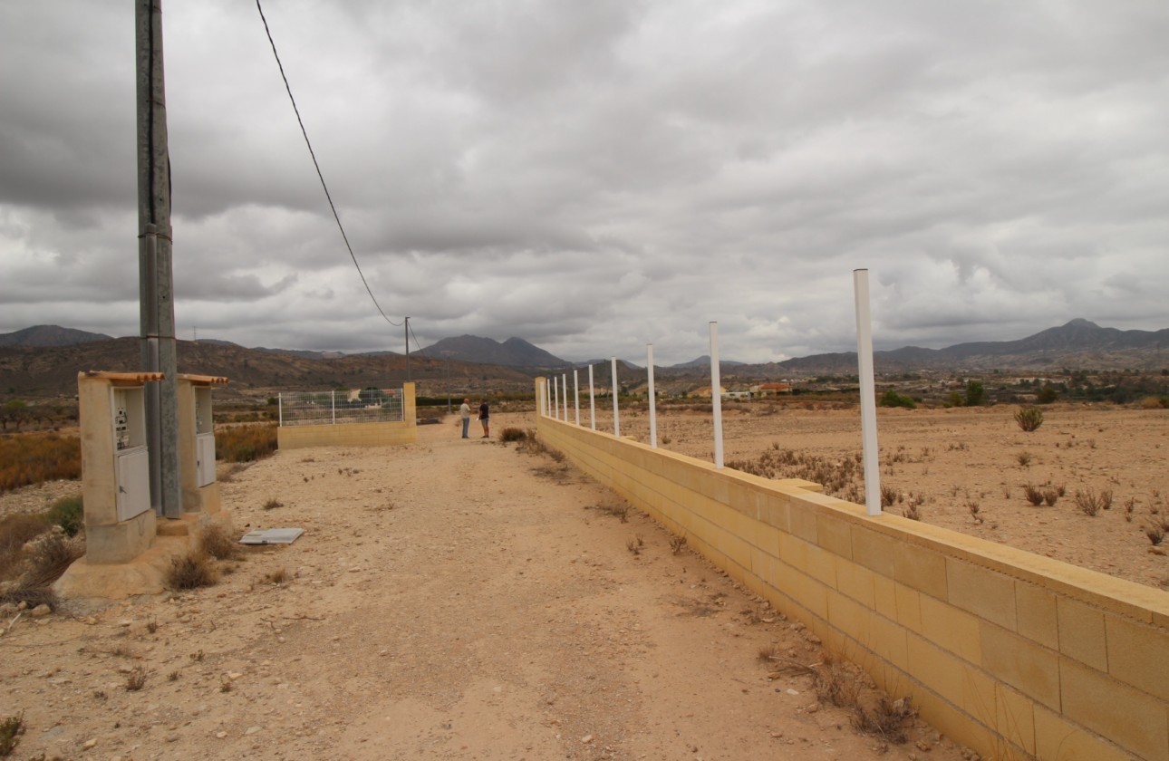 Resale - Grundstück / Land -
Abanilla