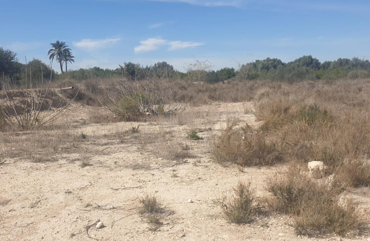 Resale - Grundstück / Land -
Benferri - HUERTA PUEBLO