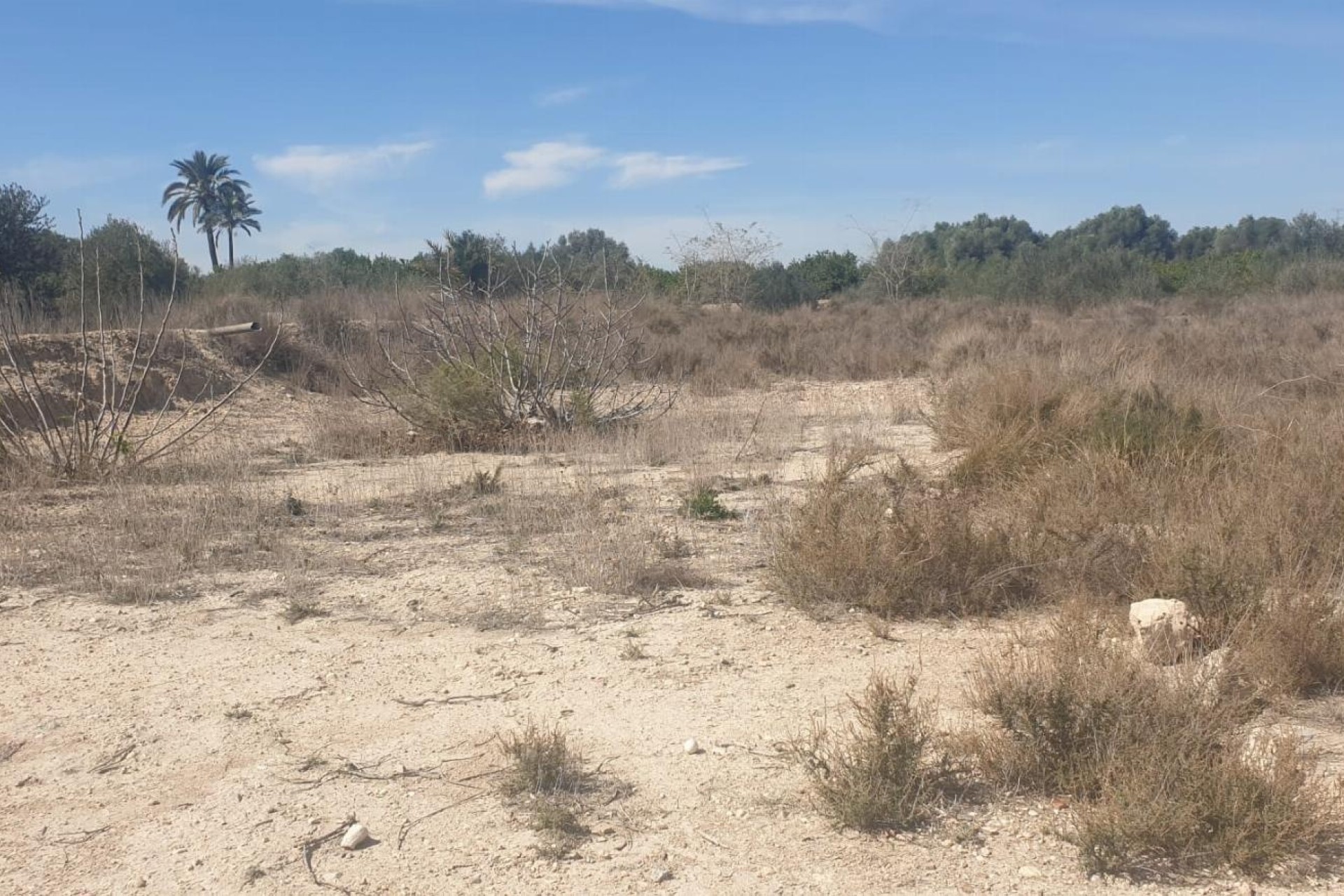 Resale - Grundstück / Land -
Benferri - HUERTA PUEBLO