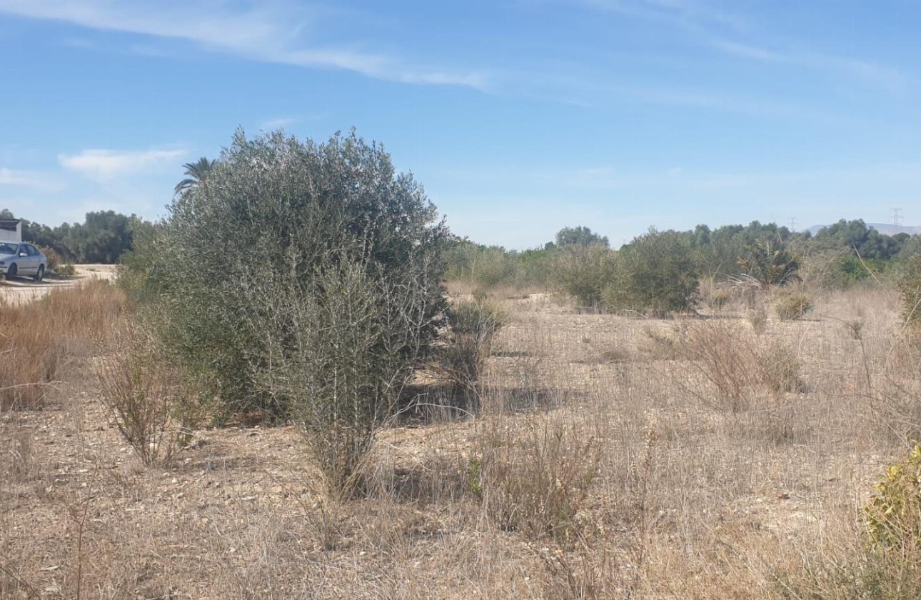 Resale - Grundstück / Land -
Benferri - HUERTA PUEBLO