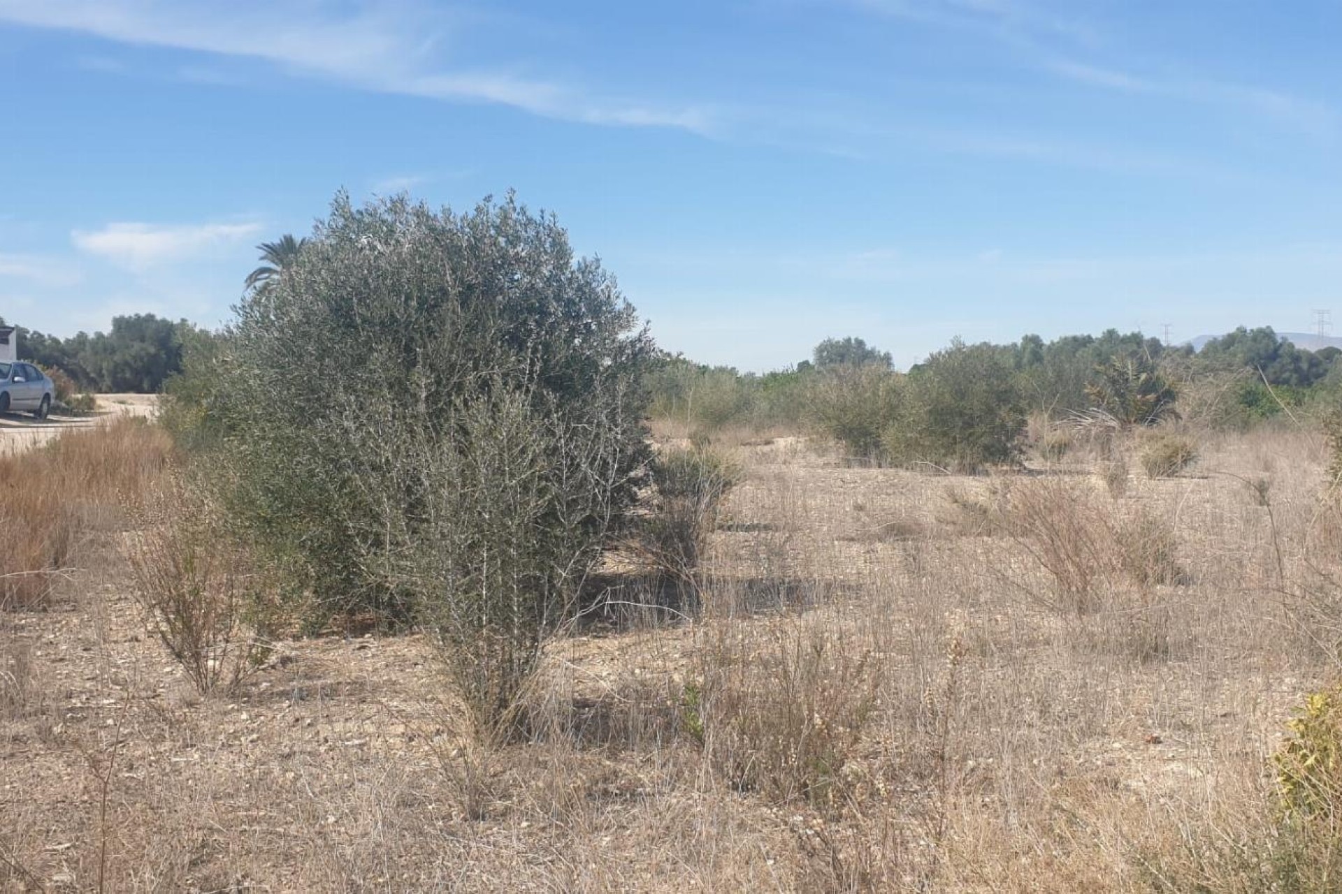 Resale - Grundstück / Land -
Benferri - HUERTA PUEBLO