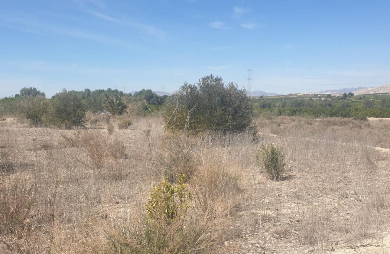 Resale - Grundstück / Land -
Benferri - HUERTA PUEBLO