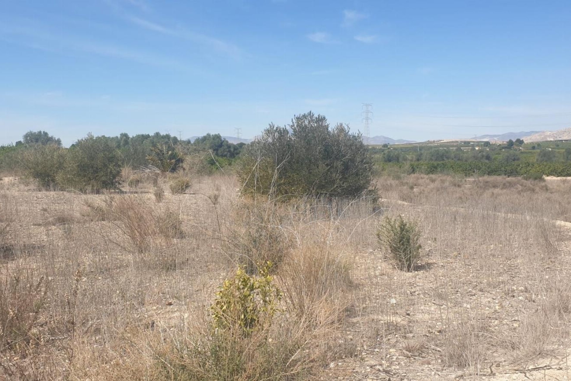 Resale - Grundstück / Land -
Benferri - HUERTA PUEBLO