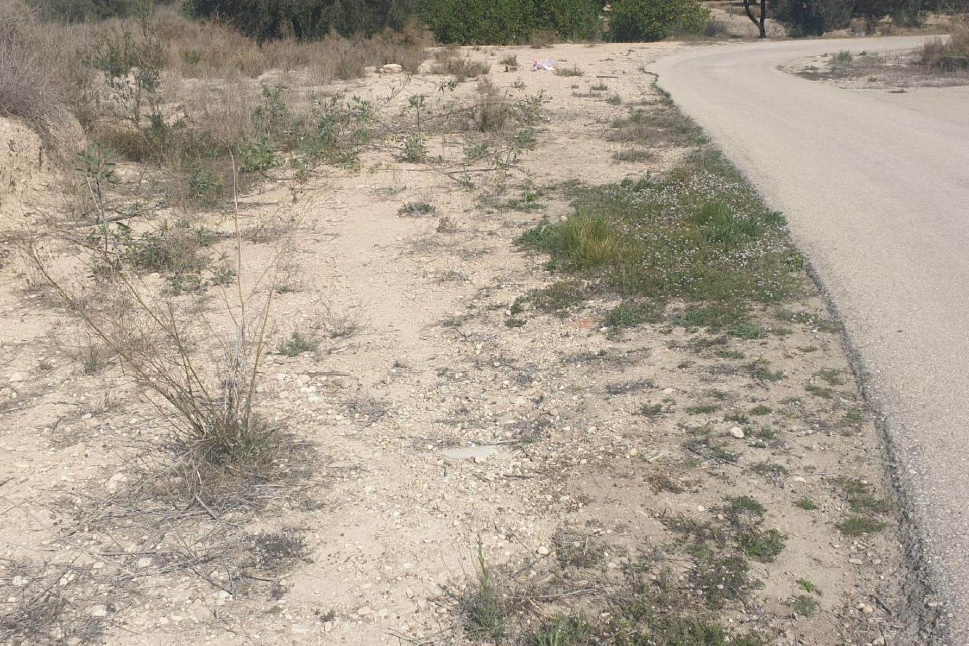 Resale - Grundstück / Land -
Benferri - HUERTA PUEBLO